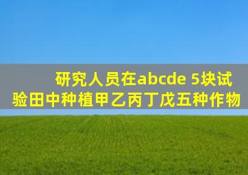 研究人员在abcde 5块试验田中种植甲乙丙丁戊五种作物